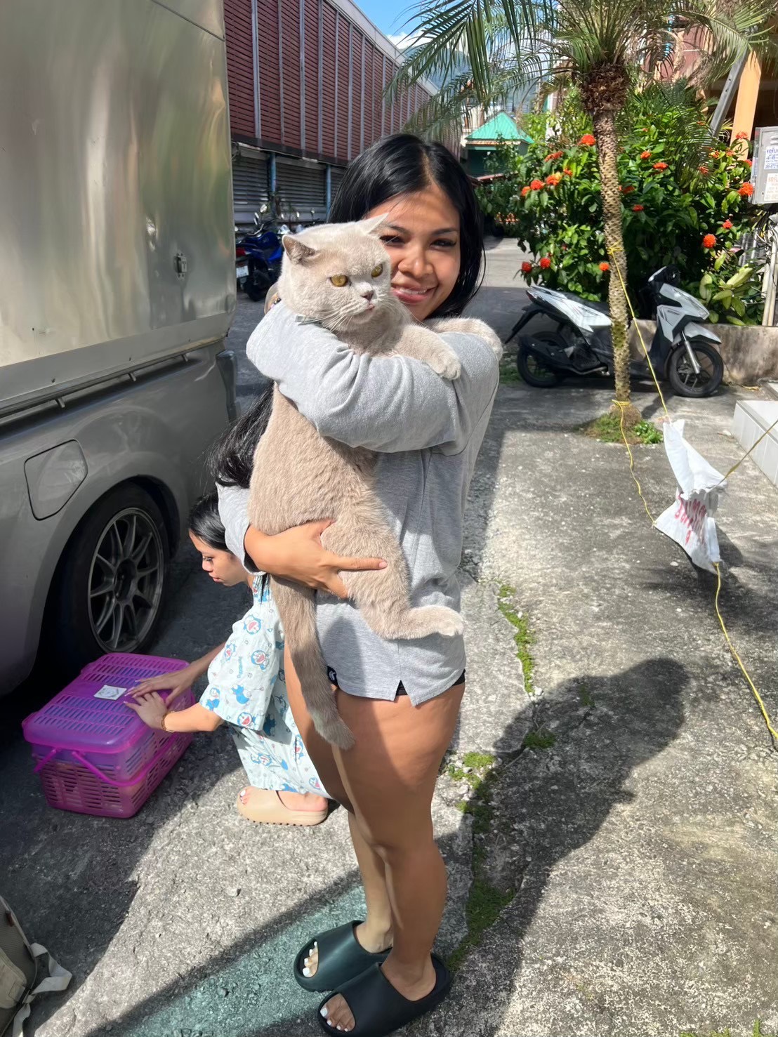 บริการรับส่งน้องแมวให้กับเจ้าของ